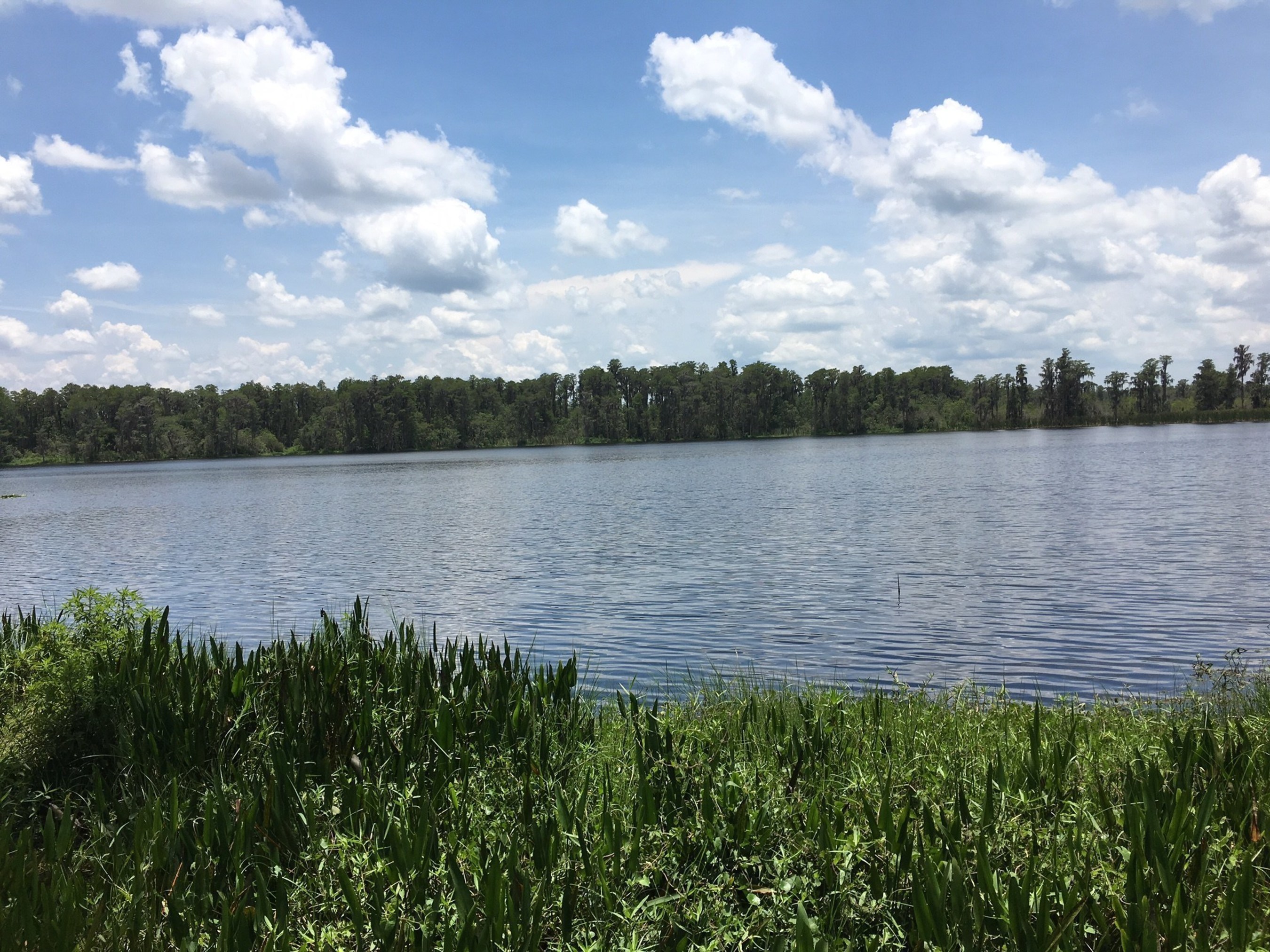 Lake County Community Offers Large Acreage and Waterfront Homesites; Parcels starting at $59,900!