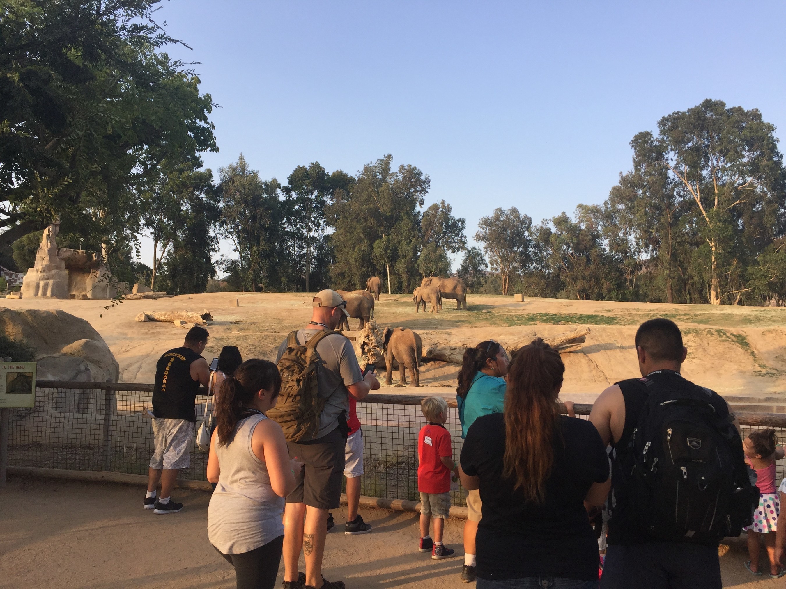 Injured veterans and their families checked out the elephant exhibit during a recent Wounded Warrior Project outing at the San Diego Zoo Safari Park.