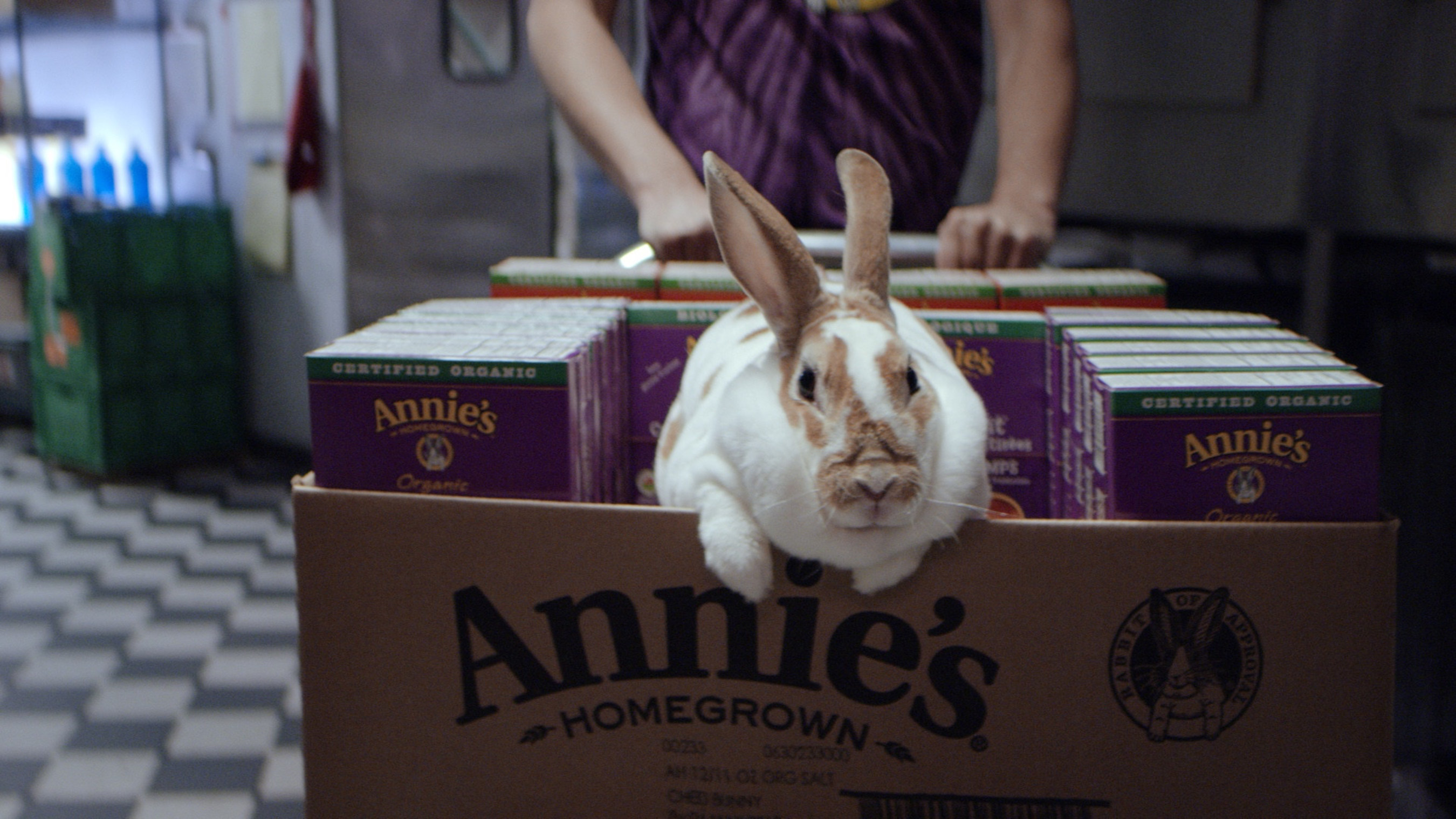 Annie's, Inc. - "Organic for Everybunny(TM)"
