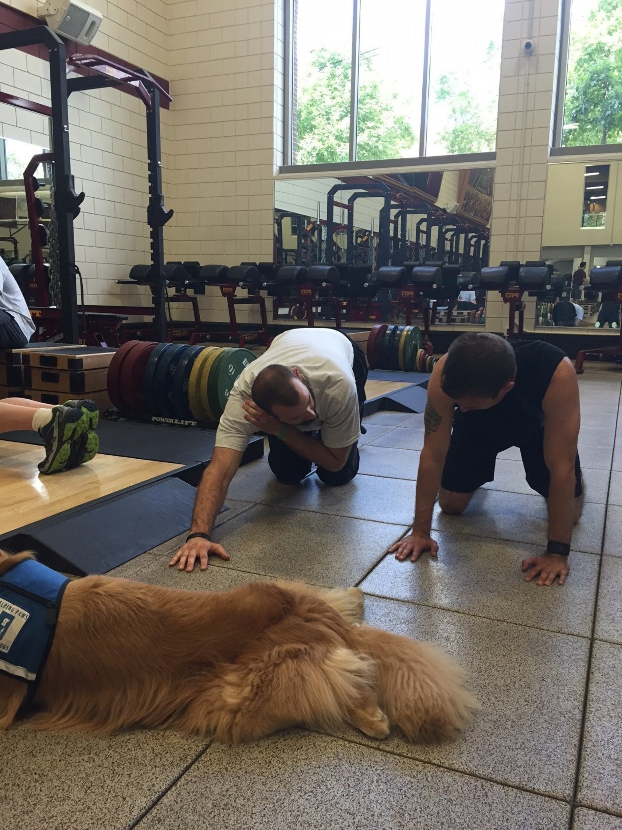 Warriors and a service dog participate in specialized training during a workout at the University of Minnesota. The event sponsored by Wounded Warrior Project.