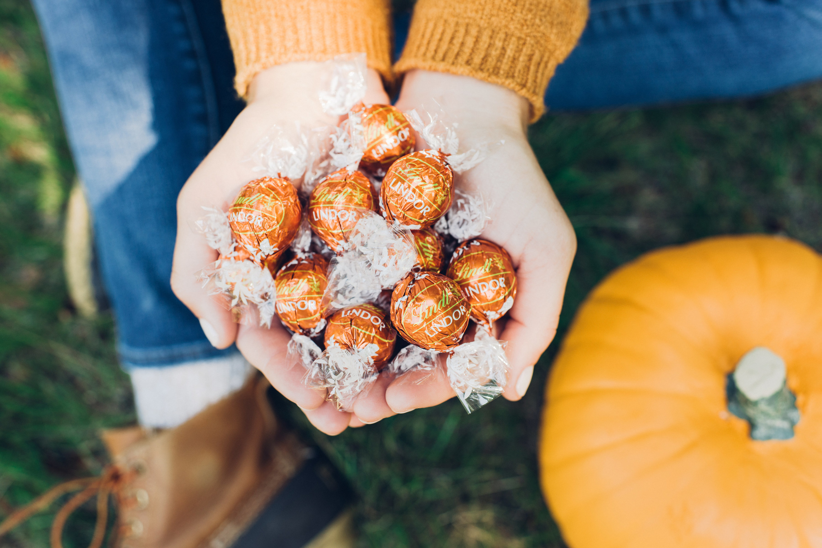 Fall in love with a new favorite: Lindt LINDOR Pumpkin Spice truffles. Photo credit: Wells & Grace