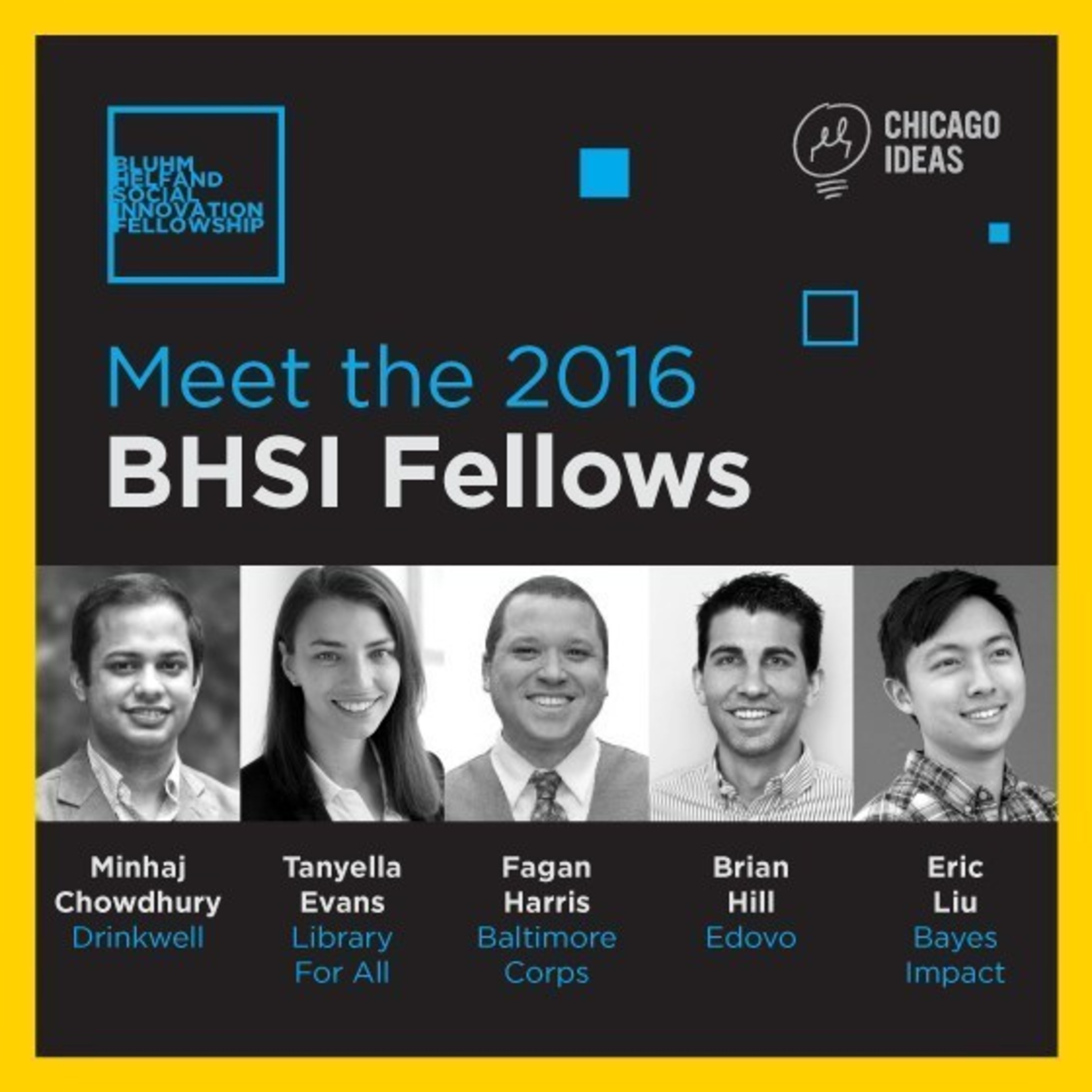 2016 BHSI Fellows