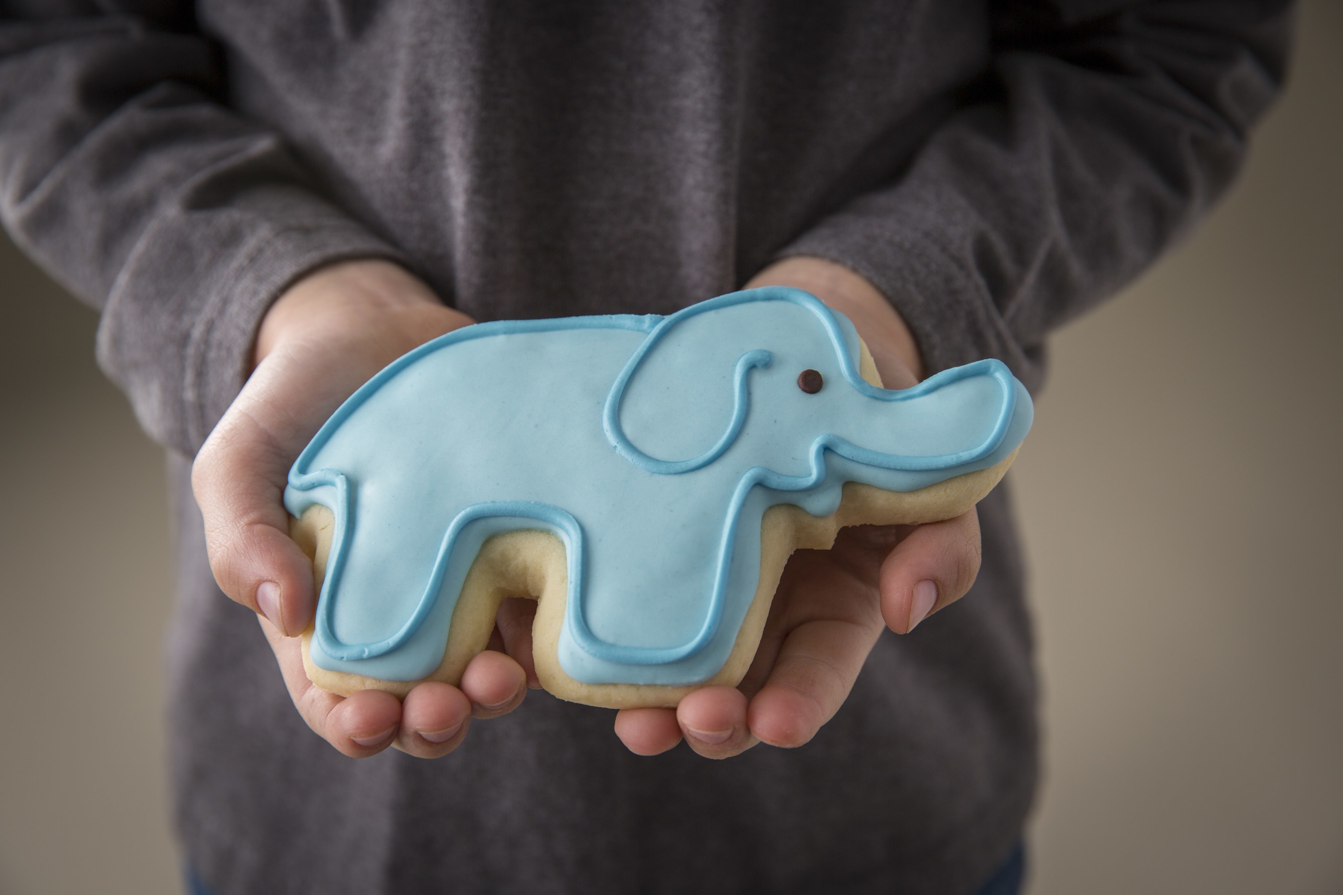 Throughout the month of September, all 52 Kneaders locations throughout the Western region will be selling elephant-shaped sugar cookies. One-hundred percent of the sales will go toward groundbreaking research into elephant DNA that may unlock the cure to childhood cancer.