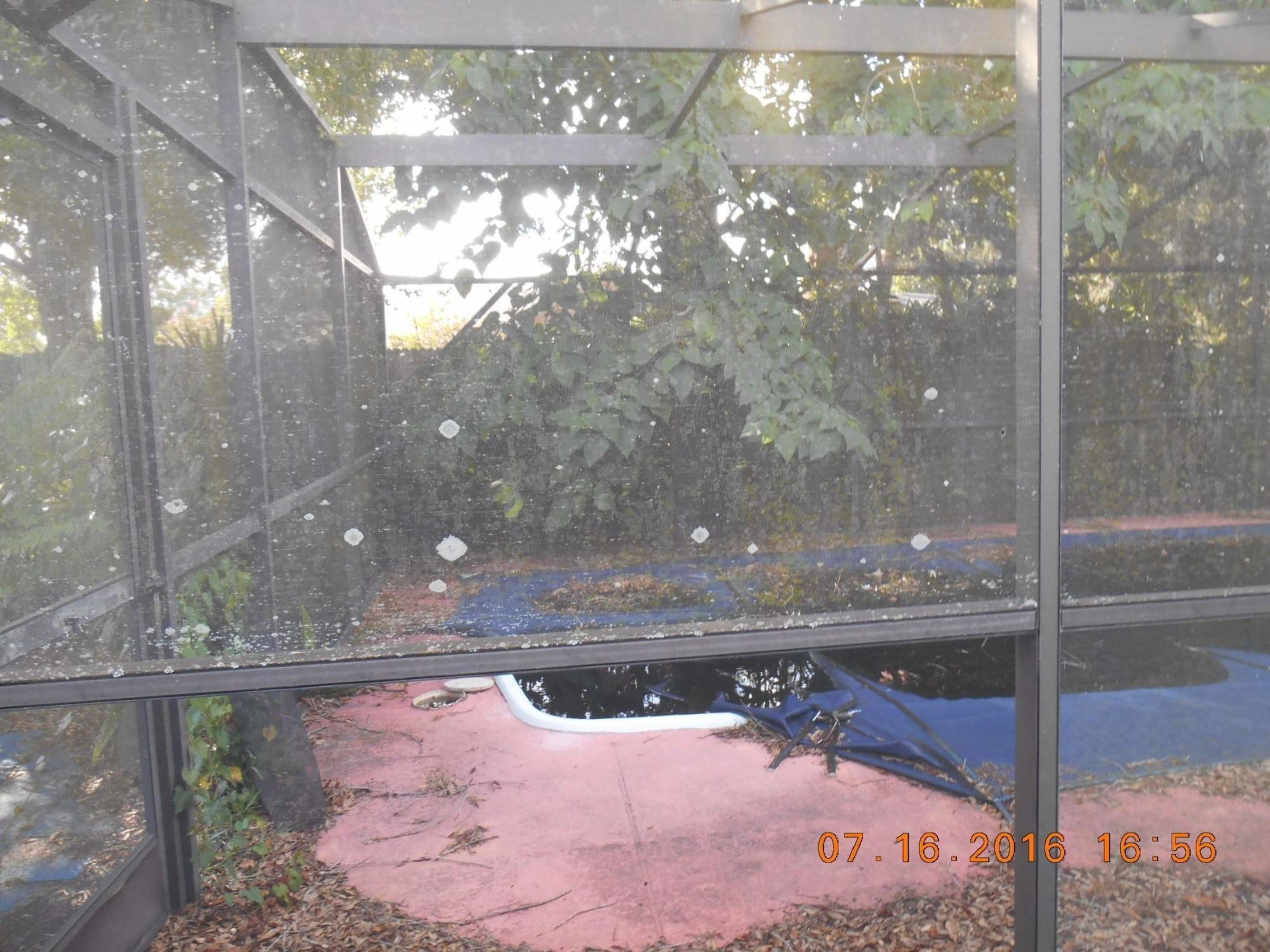 This Bank of America foreclosure in a Latino neighborhood in Orlando, FL, has an unsecured pool area.  Dirty standing water on the pool cover and inside the pool makes a perfect breeding ground for mosquitoes.