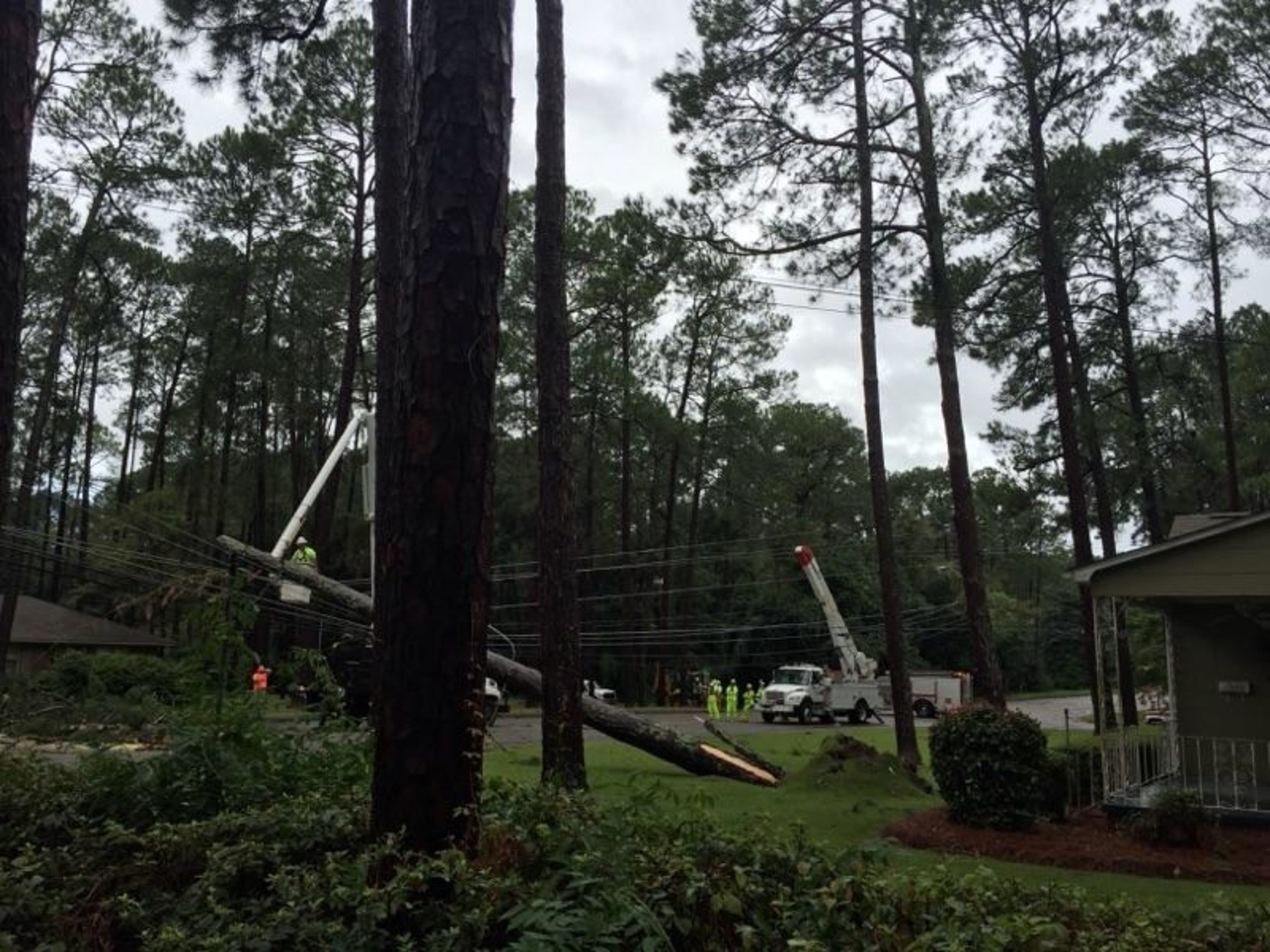 Large trees caused extensive damage in South and Coastal Georgia during Tropical Storm Hermine. Georgia Power crews work to restore service to thousands and quickly and safely as possible.