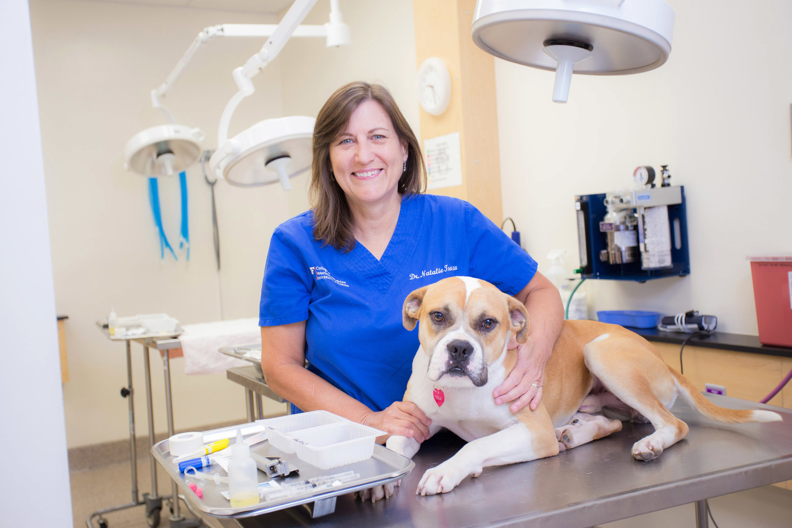 Dr. Natalie Isaza of Gainesville, Florida was named the American Humane Hero Veterinarian for 2016.