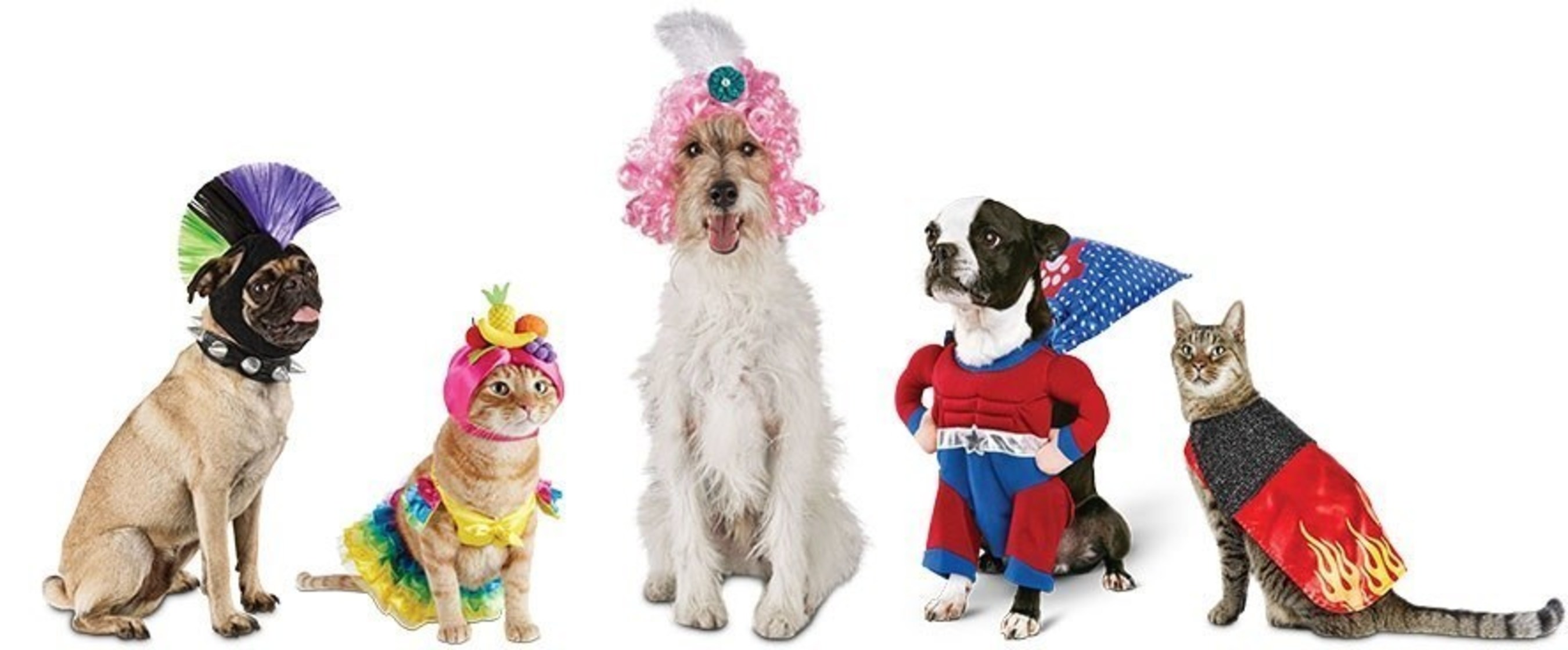 Petco has festive pet parents and their pets covered with a fun assortment of pet costumes and accessories