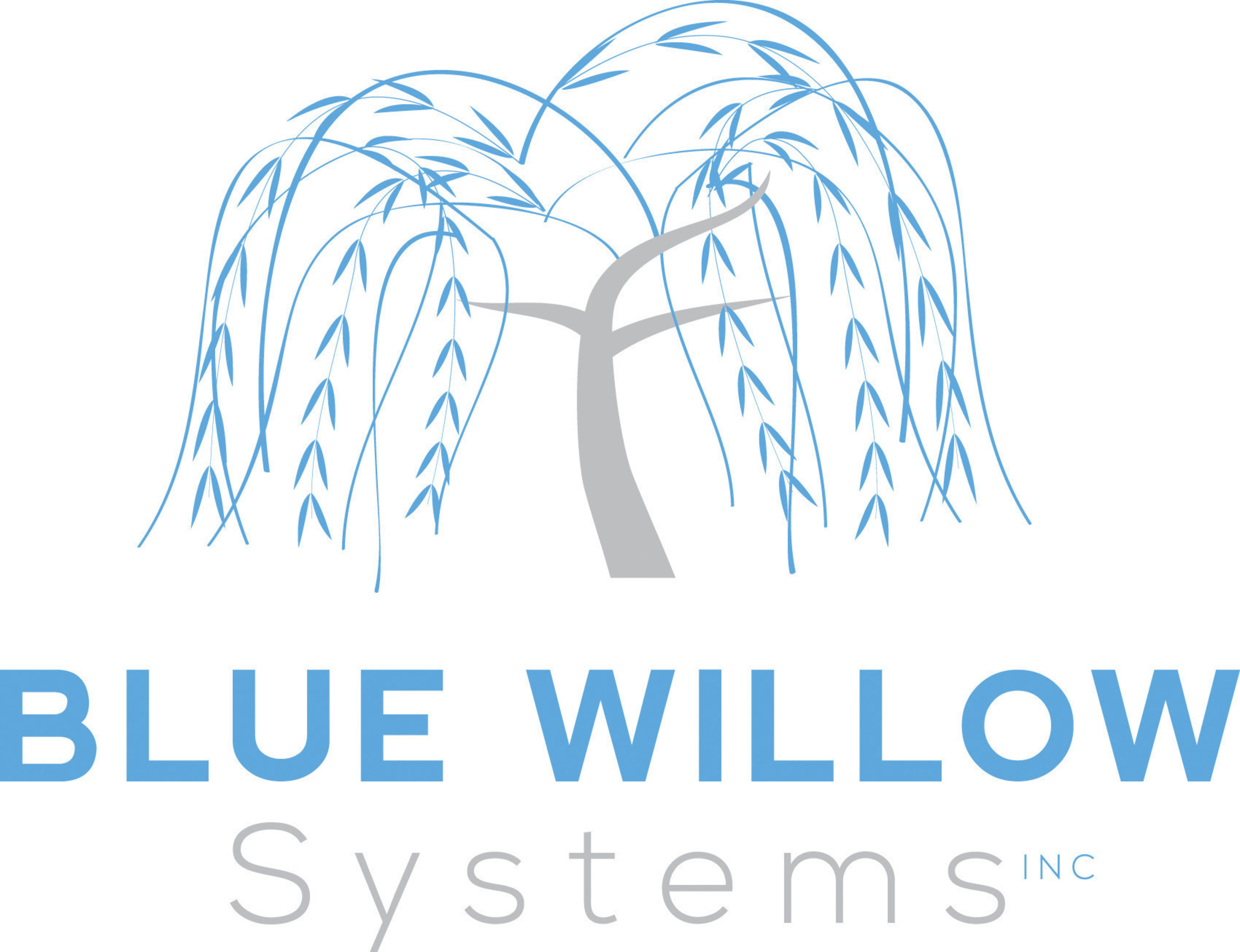 Blue Willow Systems Logo