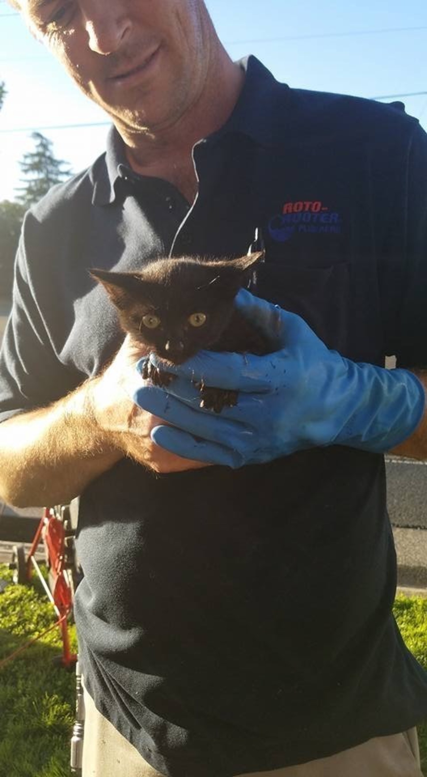 Sacramento Roto-Rooter Plumber Heroically Saves Helpless Kitten Trapped in Drain