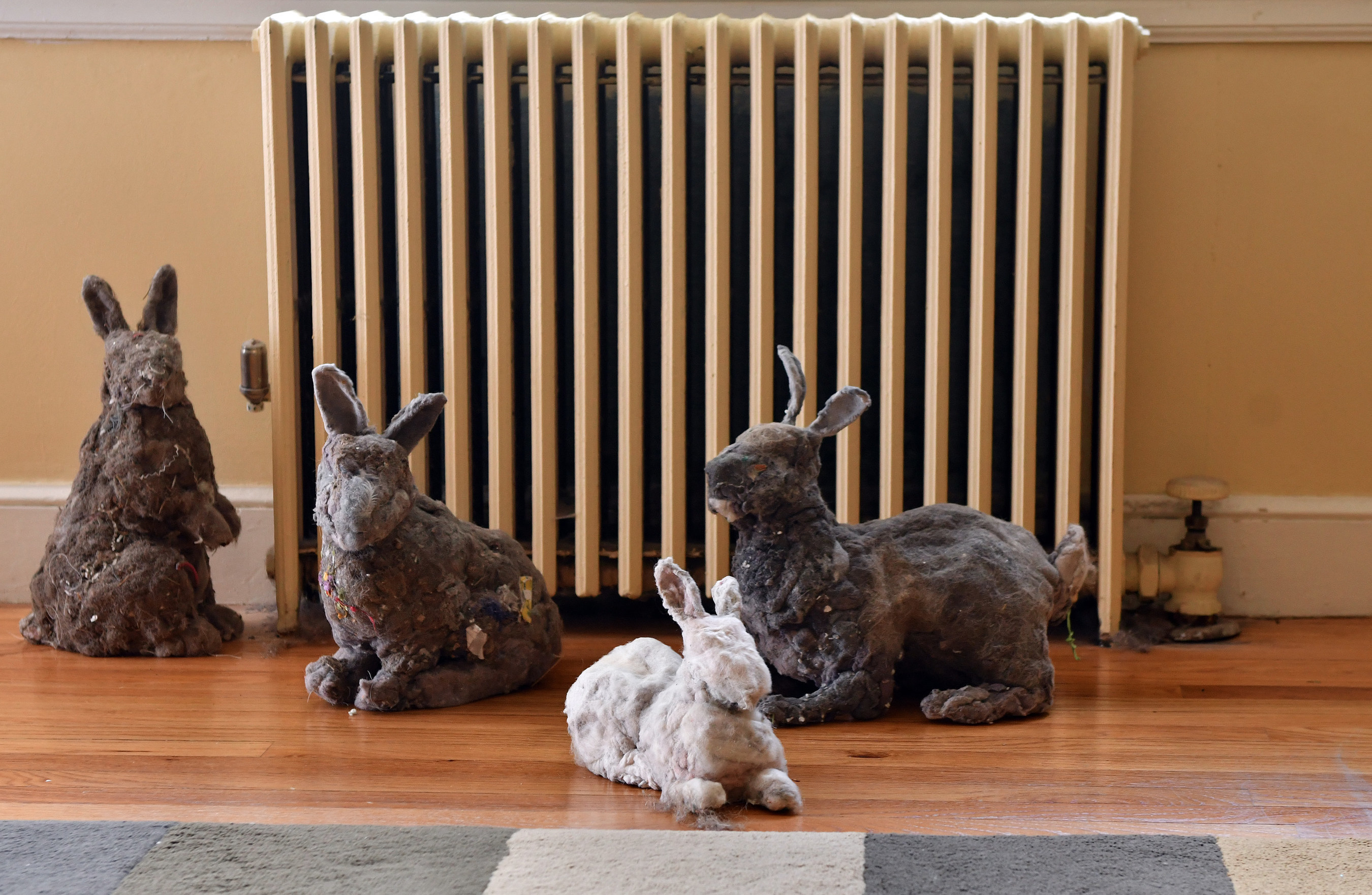 Bunny sculptures by artist Suzanne Proulx, fabricated from household dust, sit together in a living room, Friday, August 26, 2016 in Lexington, Mass. The sculptures, commissioned by Febreze(r) Air Purifiers, were made to represent what 40 pounds of dust, the average amount a U.S. home will collect in a year, could look like. (Josh Reynolds/AP Images for Febreze(r) Air Purifiers)