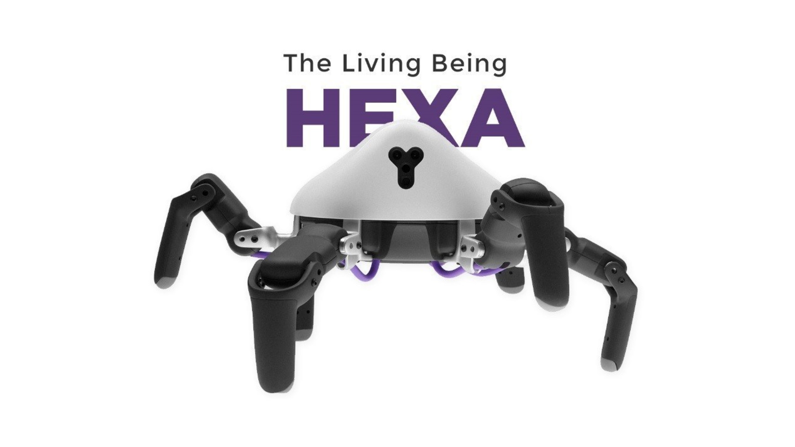 Robot HEXA