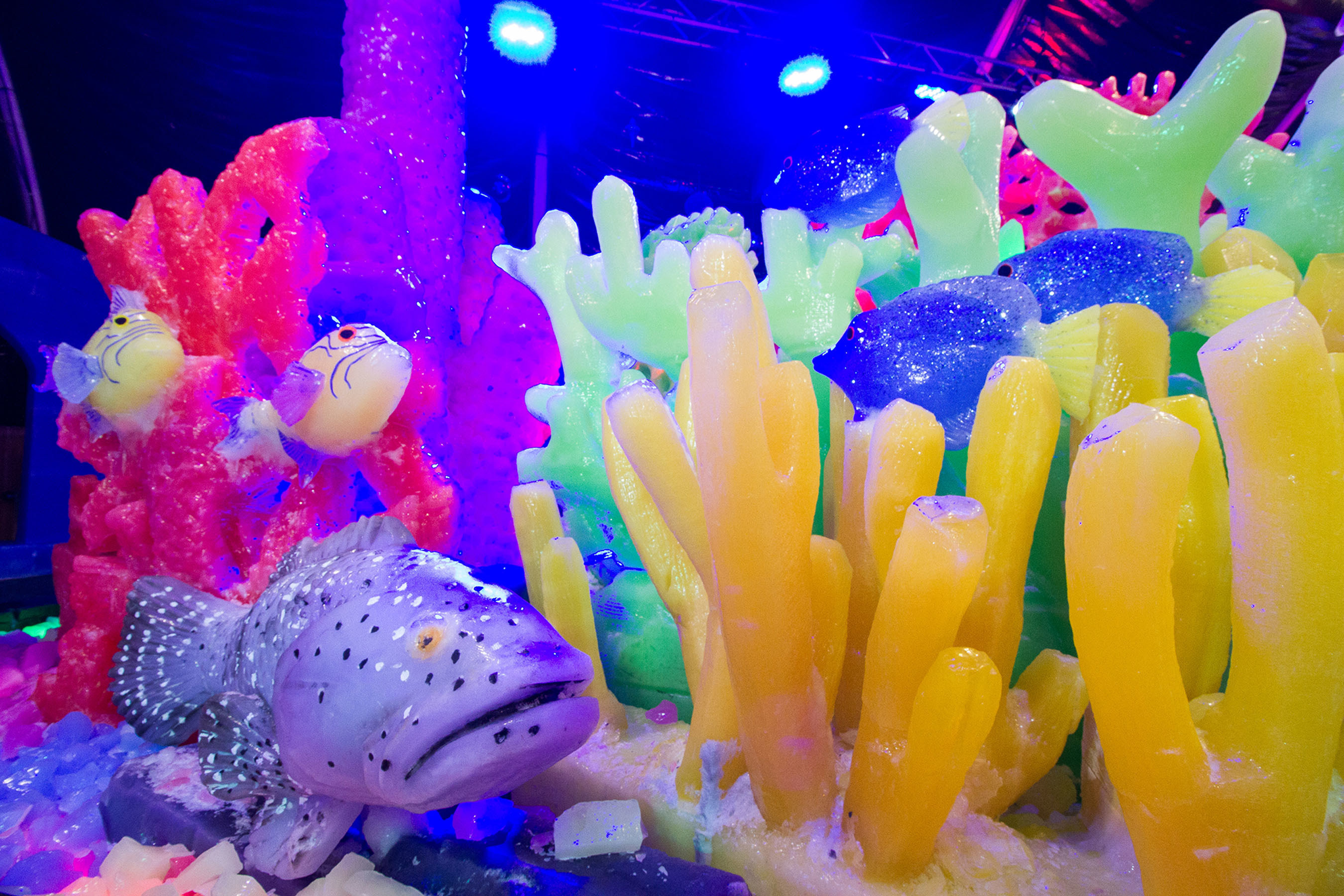 The ICE LAND: Ice Sculptures attraction opened Saturday at Moody Gardens with a new Caribbean Christmas theme with sculptures carved out of 2 million pounds of ice.