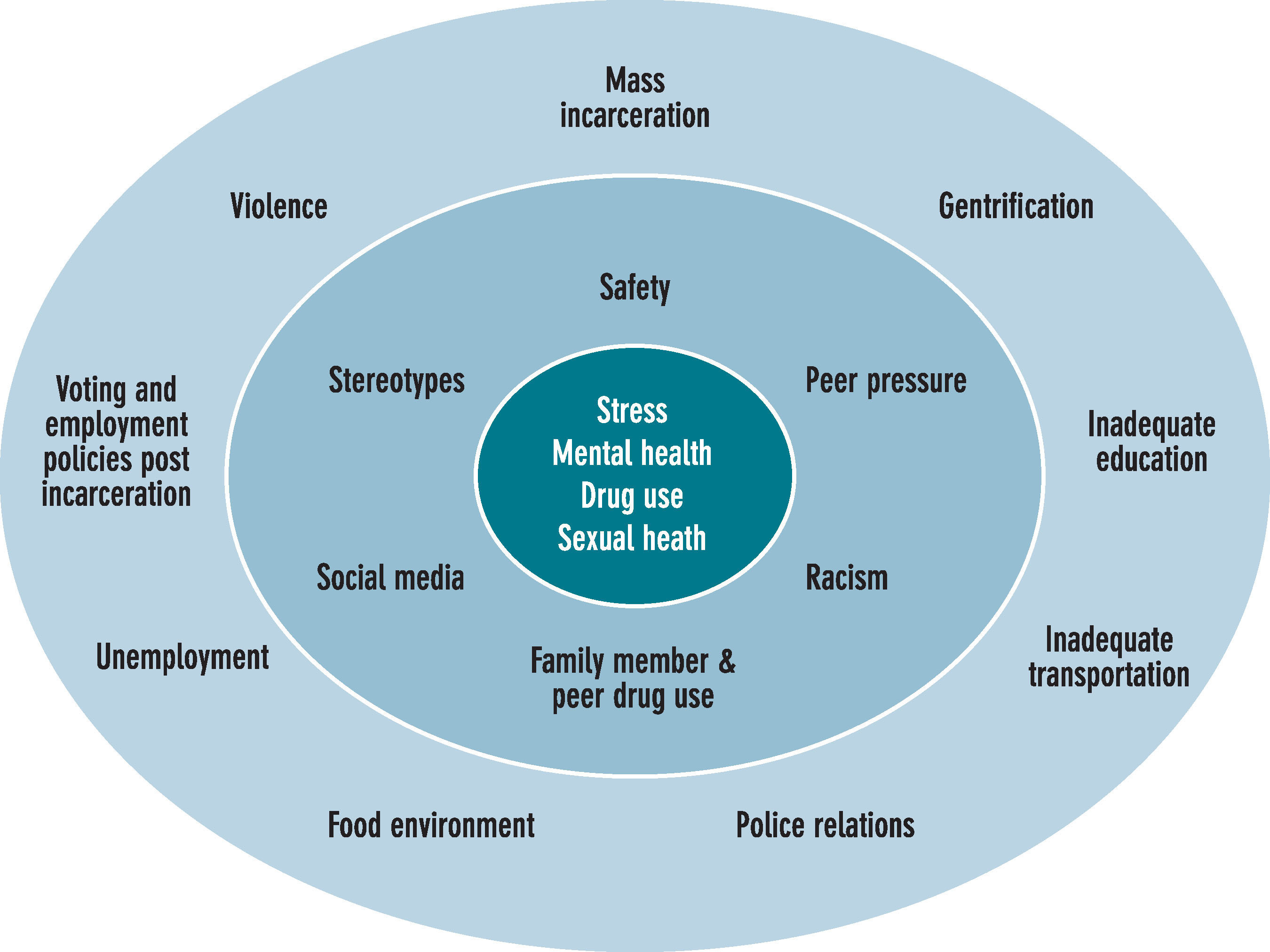 In order to design assessment protocols, youth-led research teams across the ﬁve sites brainstormed threats to health as experienced by youth at the peer, neighborhood, and community levels. This graphic depicts these threats to a young person's health and well-being. At the center are individual health conditions and behaviors identiﬁed by the teams. The second ring focuses on peer and family, or network level threats and the outer ring includes neighborhood and broader community factors.