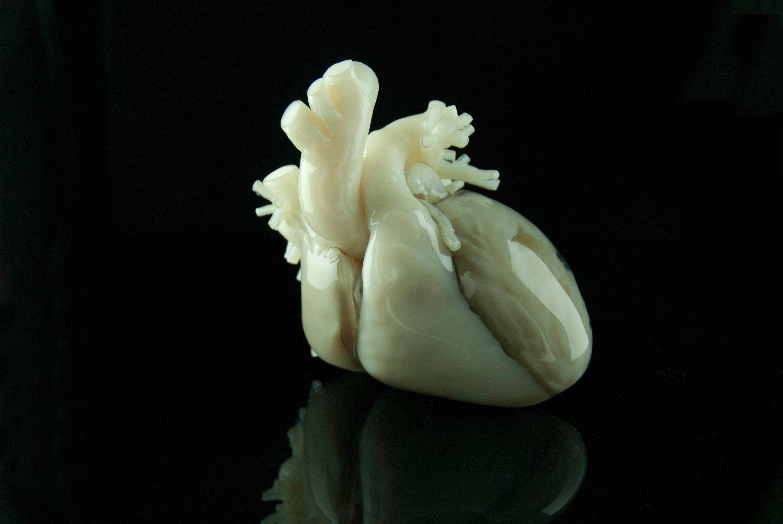 Materialise Mimics inPrint enables surgeons to create accurate medical models for 3D printing.