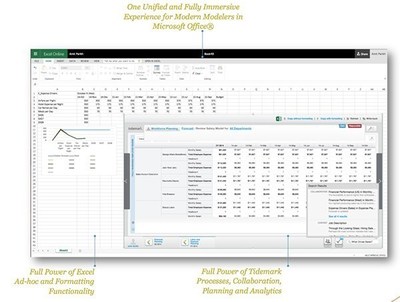 The new Tidemark Excel App for Microsoft Office and Office 365