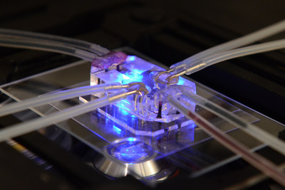 Human organs-on-chips, which have been awarded the Product prize by London's Design Museum, have the potential to deliver transformative changes to human health, drug discovery, drug testing, and personalized medicine, due to their accurate ability to emulate human-level organ functions. Credit: Wyss Institute at Harvard University