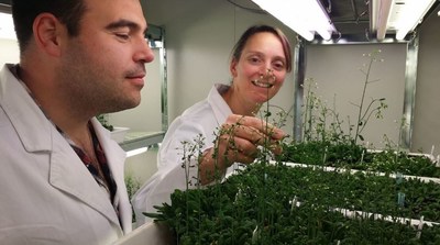 Supercomputing research by IBM and Australian universities reveals the molecular structure of plants