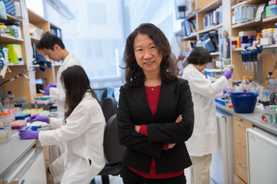 Hao Wu, PhD, of the Program in Cellular and Molecular Medicine (PCMM) at Boston Children's Hospital, has been elected to the National Academy of Sciences (NAS).