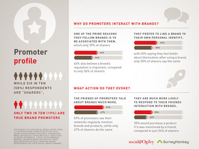Infographic on Promoter Profile