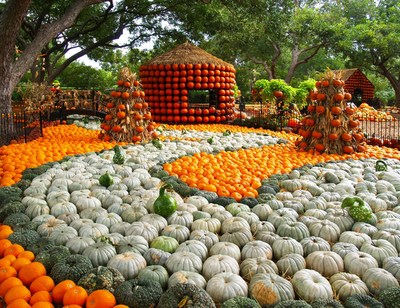 The Dallas Arboretum and Botanical Garden celebrates Autumn at the Arboretum featuring 75,000 pumpkins, gourds and squash and the nationally acclaimed Pumpkin Village, named one of "America's Best Pumpkin Festivals"  by Fodor's Travel. The festival runs from September 19 through November 25, 2015. For more information, visit dallasarboretum.org.