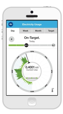 DTE Insight electricity usage