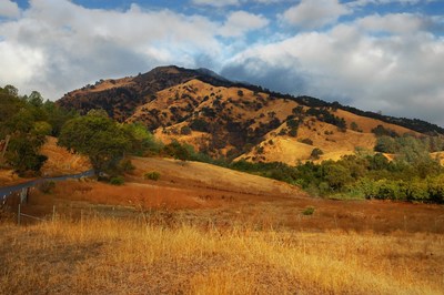 The golden hills of Vacaville, CA