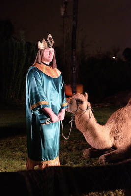 Wise-man and Camel.