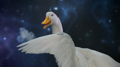 The Aflac Duck has a few magic tricks up his wing in the company's newest television commercial.