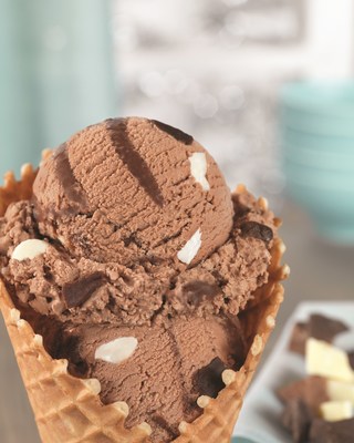 BASKIN-ROBBINS CELEBRATES "CHOCOHOLICS" NATIONWIDE WITH JANUARY FLAVOR OF THE MONTH, CHOCOHOLIC'S RESOLUTION