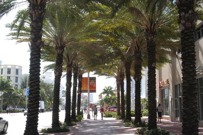 Couple strolling down palm tree covered sidewalk on Miami Beach (Photo Credit: Miami Beach Visitor and Convention Authority)