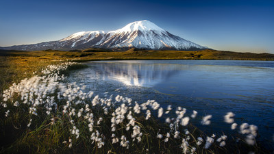 A Volcano standing in the background with flowers swaying in the wind