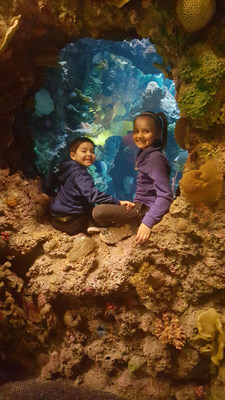 Wounded Warrior Project Alumni and their families explore The Shedd aquarium in Chicago, during an Alumni program event.