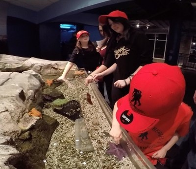 Wounded veterans and their families touch starfish during aquarium visit.