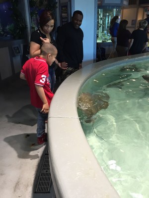 A Wounded Warrior Project family examines a stingray at the Kemah Aquarium, during an Alumni Program event.