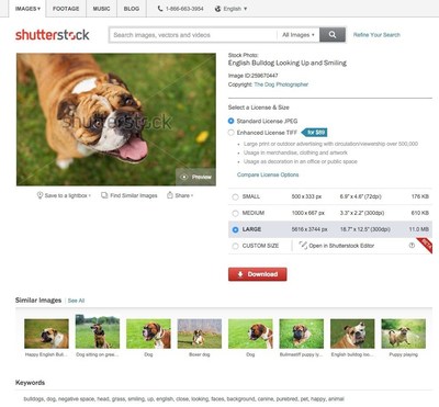 Shutterstock Launches Reverse Image Search and Visually Similar Search and Discovery