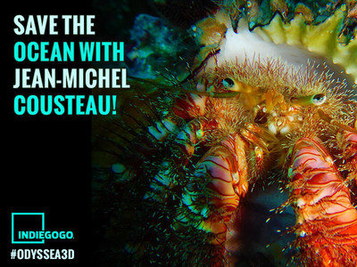 Jean-Michel Cousteau's ODYSSEA 3D Takes Audiences Diving With The Ocean's Smallest Creatures. Be part of Jean-Michel Cousteau's Indiegogo Crowdfunding Campaign at  http://bit.ly/GogoOdyssea3D.