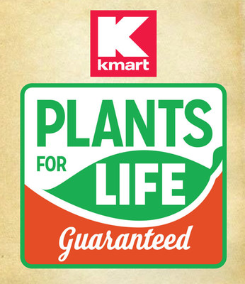 Kmart launches a lifetime guarantee on trees, shrubs and perennials