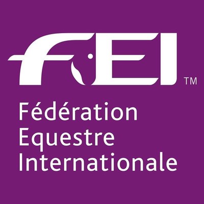 FEI Logo