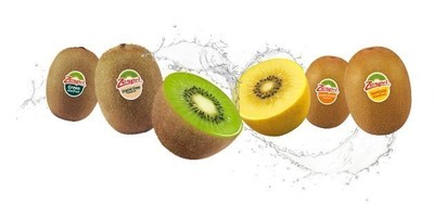 Zespri Kiwifruit, the global leader in premium quality kiwifruit, announces its 2016 season with distribution of SunGold, Green and Organic varietals across North America.