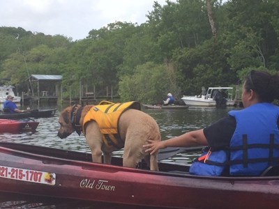 A service dog balances in the kayak, joining wounded veterans on an adventure hosted by Wounded Warrior Project.