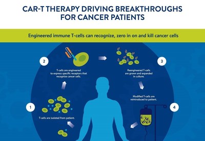 Engineered immune T-cells can recognize, zero in on and kill cancer cells.