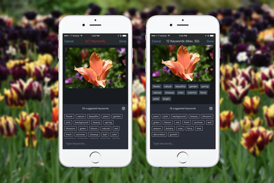 Shutterstock Releases Advanced Keyword Suggestion Tool for iPhone using its Computer Vision Technology