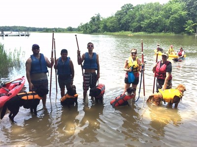 Veterans took their service dogs to Dundee Creek at Gunpowder Falls State Park for an afternoon of paddle boarding.