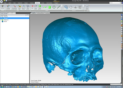 Geomagic Wrap(R) can be used to create mesh files for subsequent 3D printing.  In addition, the data may be exported to Freeform(R) for performing facial reconstruction