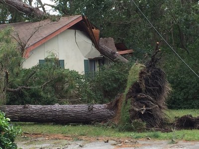 Hurricane Matthew damages home and power lines in coastal Georgia.