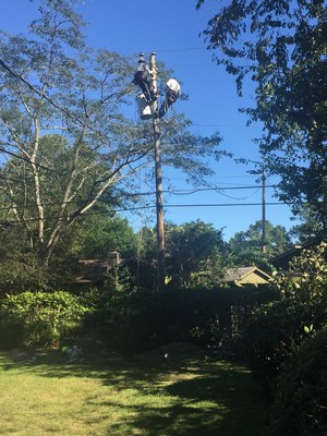 Linemen repairing damage to a power pole behind a residential neighborhood near Savannah.