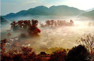 Shicheng Village (the stone city), one of the prime viewing locations of maple foliage in Wuyuan County, China, embraced the peak season of this year's fall foliage expected to arrive in early November and last through mid-December.