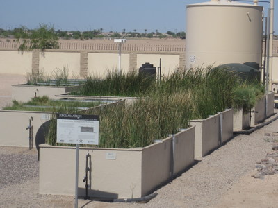 CH2M and Reclamation designed a pilot-scale wetlands facility at the City's Bullard Water Campus (BWC) which revealed that constructed wetlands can effectively reduce contaminants in RO concentrate.