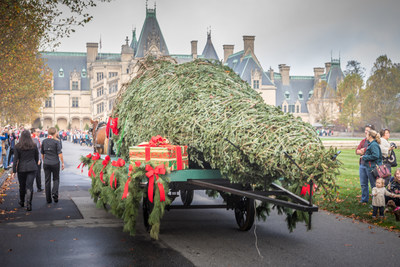 When a 34-foot-tall Fraser fir tree is brought into Biltmore House - America's Largest Home - it's a sure sign that Christmas is just around the corner. This week, Santa Claus, aboard a horse-drawn carriage, ushered the massive tree to the home that George Vanderbilt opened to his friends and family on Christmas Eve 1895. Christmas at Biltmore, the estate's annual holiday event, starts officially Nov. 4, 2016, and runs through Jan. 8, 2017.