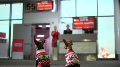 VIRGIN AMERICA TO LAUNCH CYBERMONDAY #TINYDOGSTINYFARES DEAL AND 'OPERATION CHIHUAHUA' AIRLIFT ON MONDAY, NOV. 28